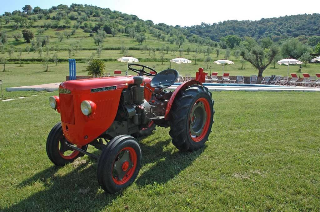 Agriturismo La Banchella Scarlino Exteriör bild